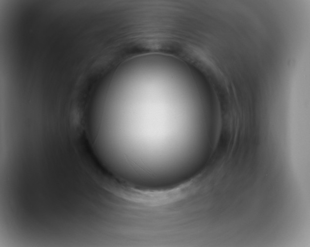 X0000089850031200707121726