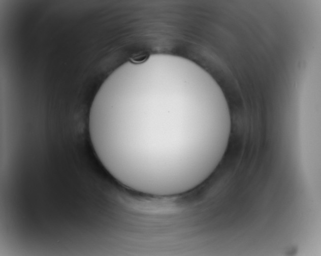 X0000089850032200707121726