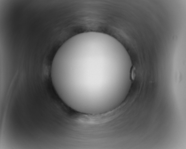 X0000089850033200707121726