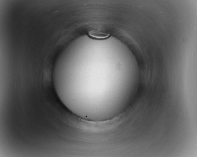 X0000089850035200707121726