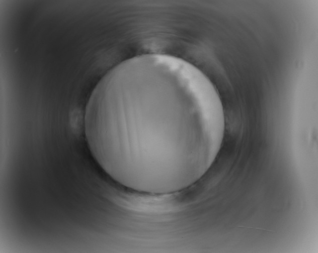 X0000089850036200707121726