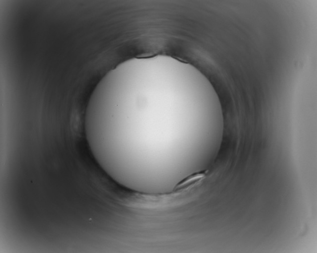 X0000089850037200707121726