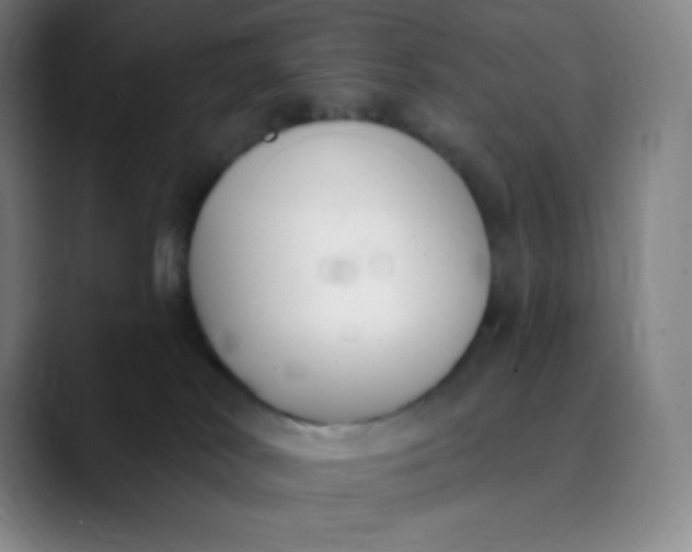 X0000089850038200707121726