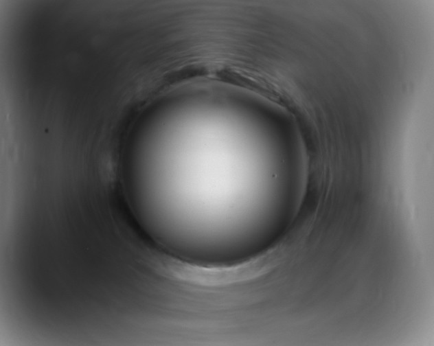 X0000089850039200707121726