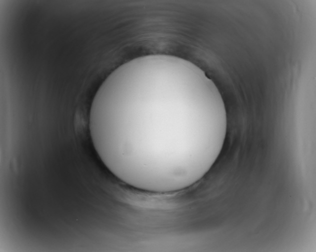 X0000089850040200707121726