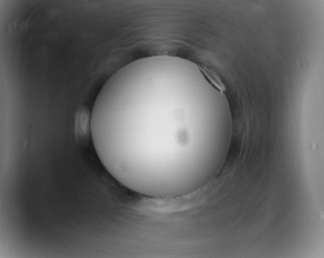 X0000089850041200707121726