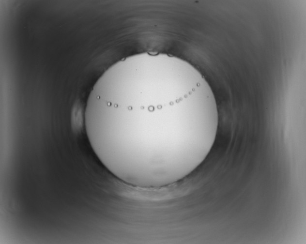 X0000089850042200707121726