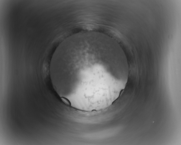 X0000089850043200707121726