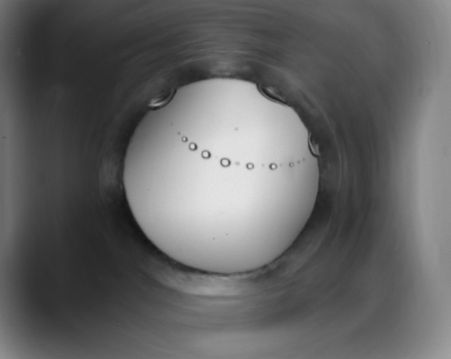 X0000089850044200707121726