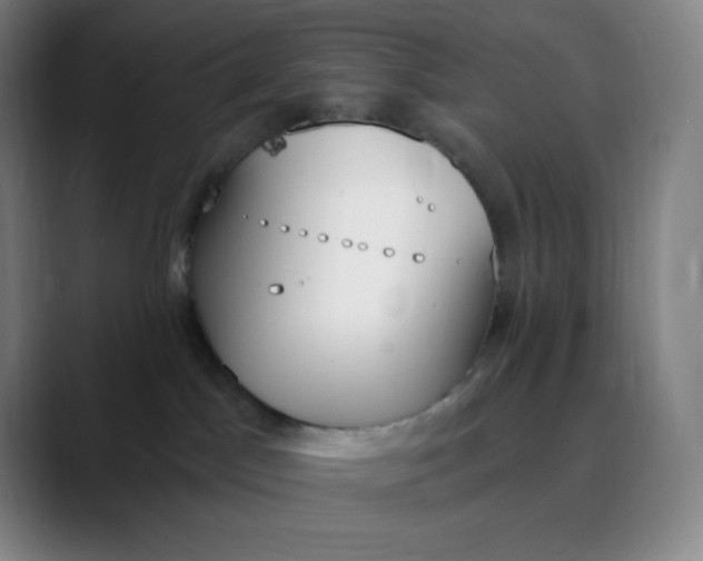 X0000089850045200707121726