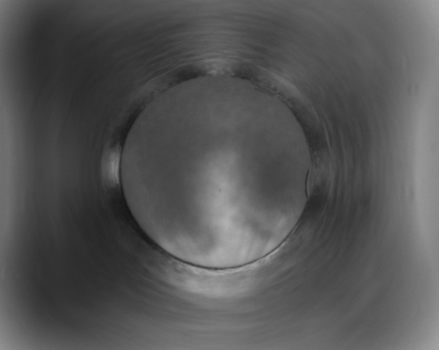 X0000089850047200707121726