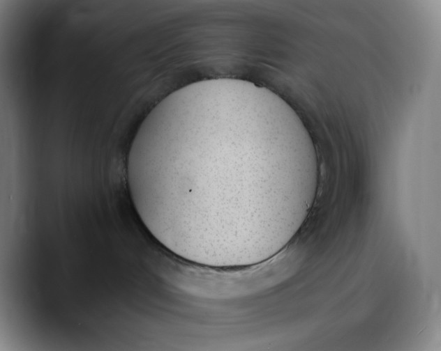 X0000089850048200707121726