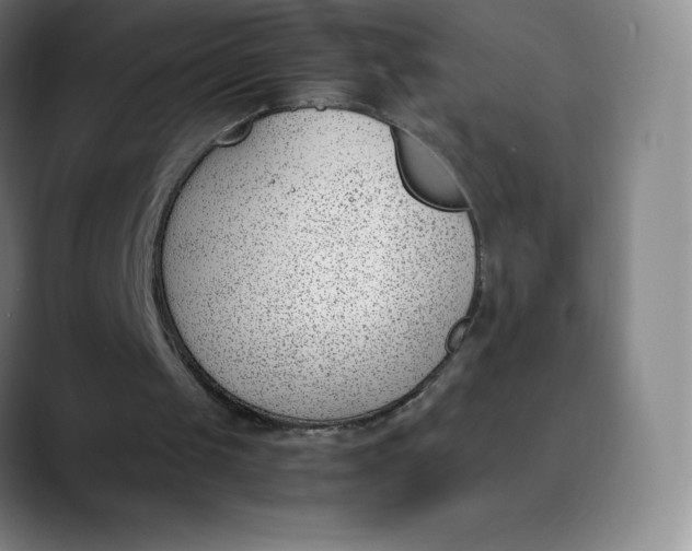 X0000089850049200707121725