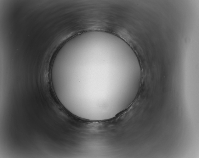 X0000089850050200707121725