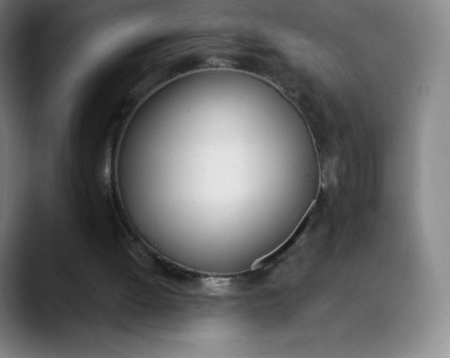 X0000089850052200707121725