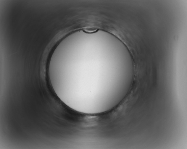 X0000089850055200707121725