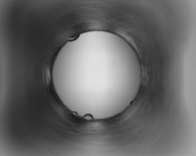 X0000089850061200707121725