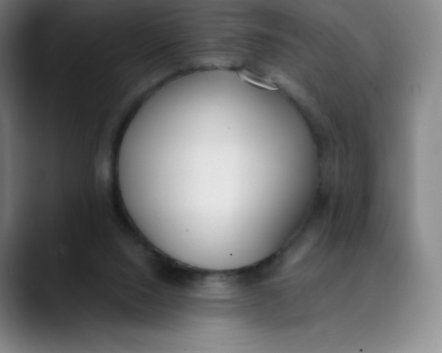 X0000089850064200707121725