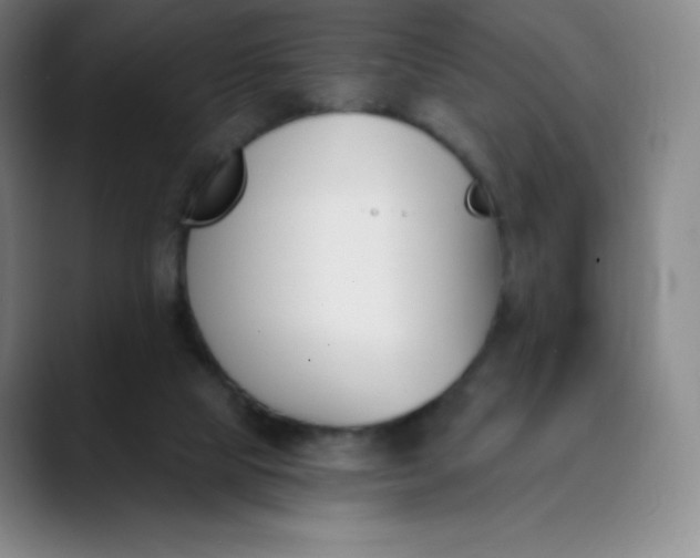 X0000089850065200707121725