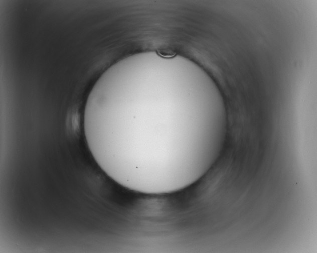 X0000089850067200707121725