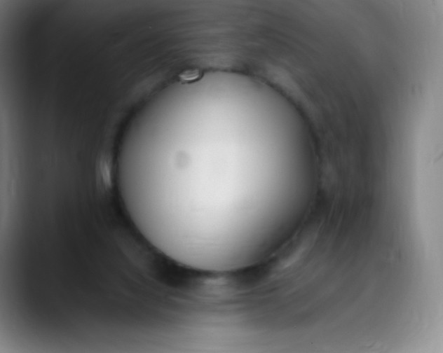 X0000089850068200707121725