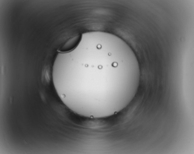 X0000089850069200707121725