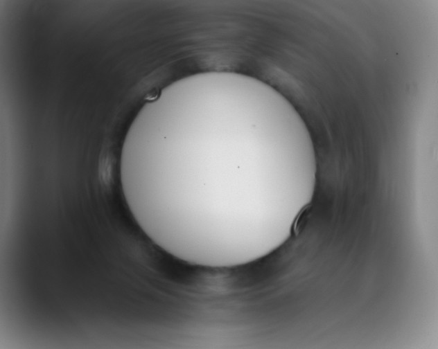 X0000089850071200707121725