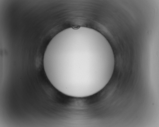 X0000089850073200707121725