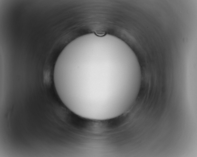 X0000089850074200707121725