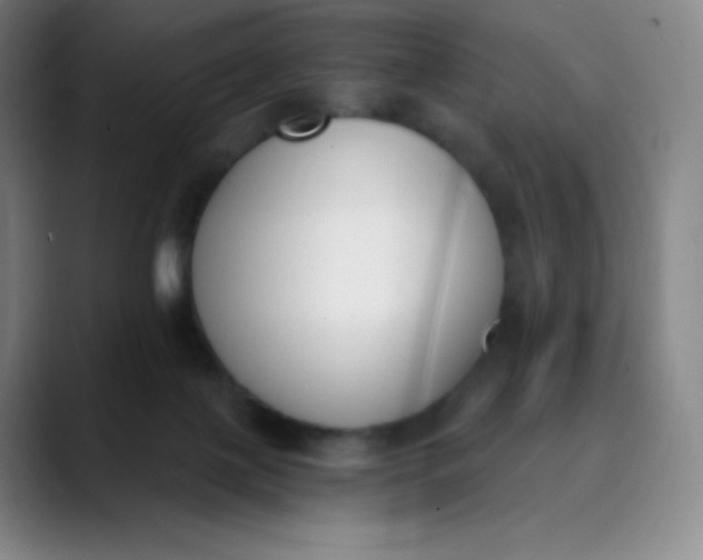 X0000089850075200707121725