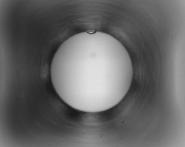 X0000089850077200707121725