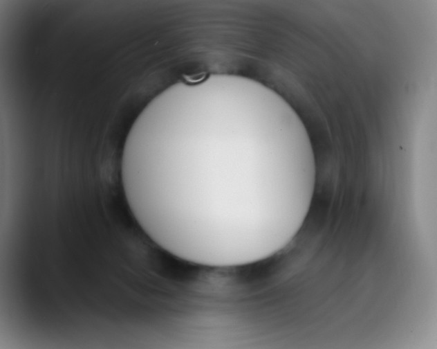 X0000089850078200707121725