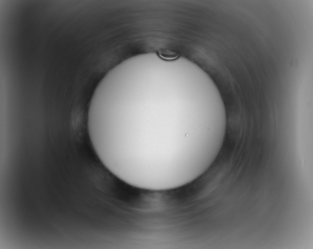 X0000089850079200707121725