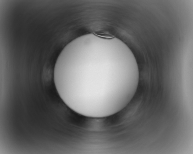 X0000089850081200707121726