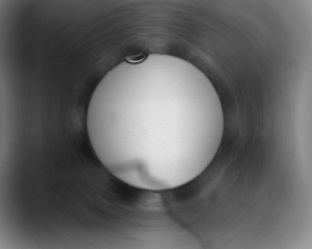 X0000089850083200707121726