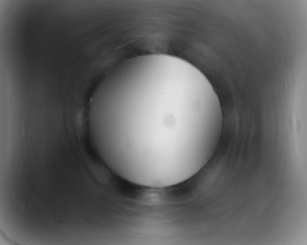 X0000089850088200707121726