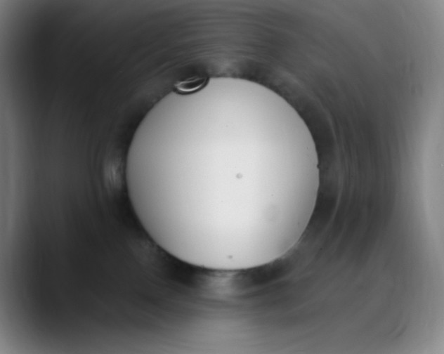 X0000089850090200707121726