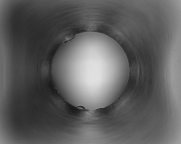 X0000089850092200707121726