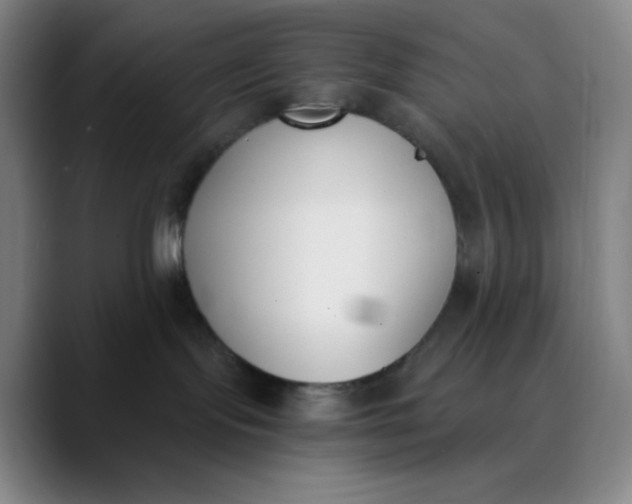 X0000089850095200707121726