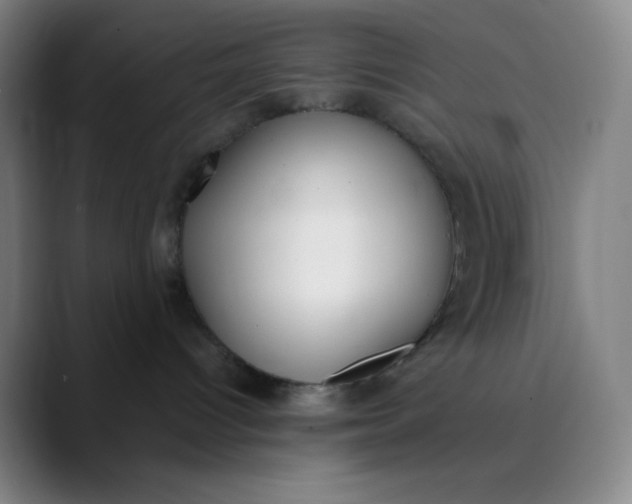 X0000089850096200707121726