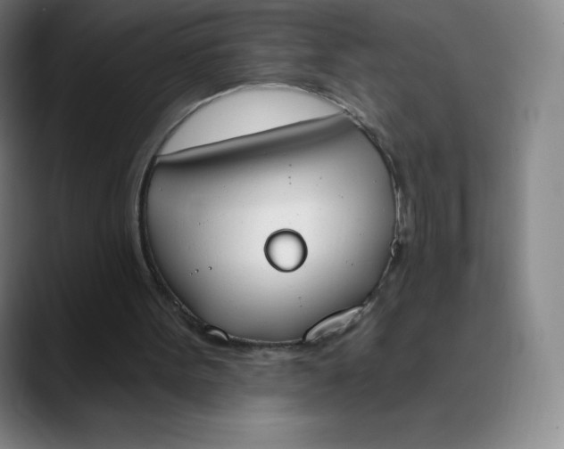 X0000089850099200707121725