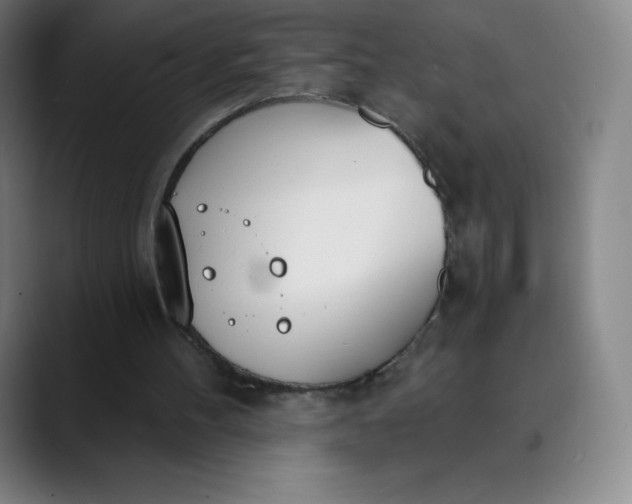 X0000089850100200707121725