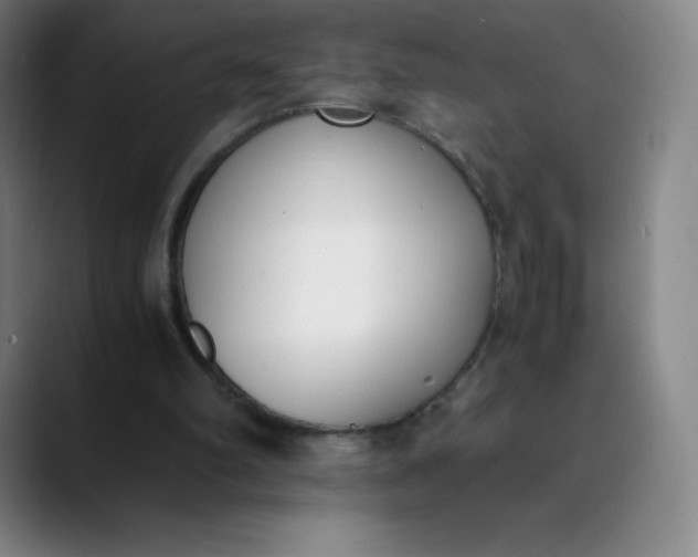 X0000089850102200707121725