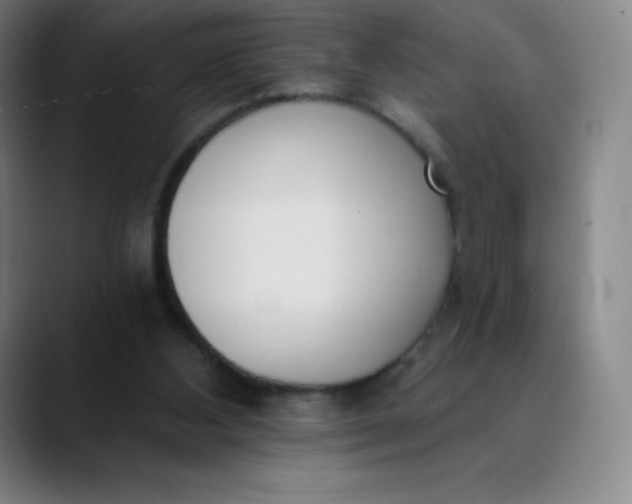 X0000089850108200707121725