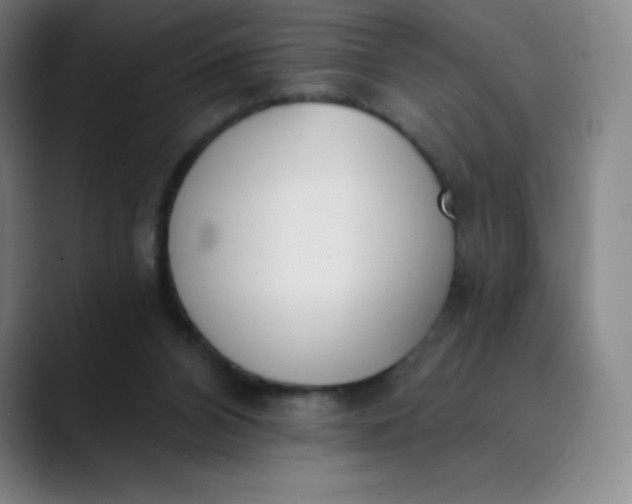 X0000089850112200707121725