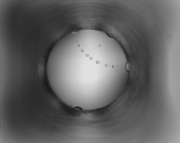 X0000089850113200707121725