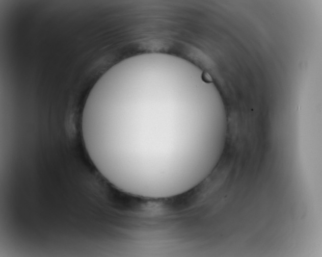 X0000089850114200707121725