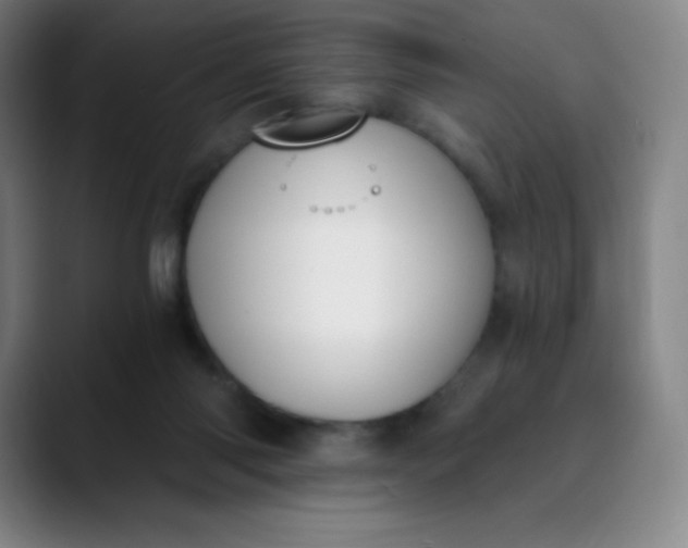 X0000089850118200707121725