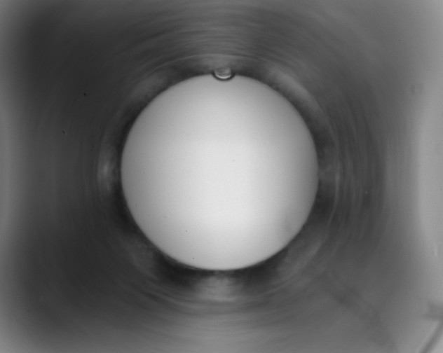 X0000089850119200707121725