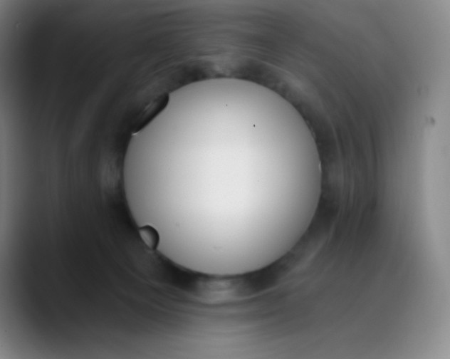 X0000089850129200707121725